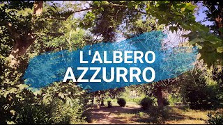 LAlbero Azzurro  Mizio Vilardi cover sigla di chiusura programma TV Rai CANZONI PER BAMBINI [upl. by Nalod]