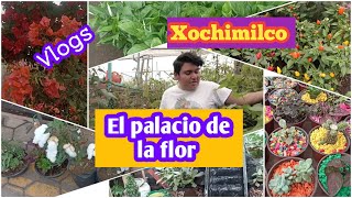 Xochimilco mercado de plantaspalacio de la florvlogs [upl. by Kaasi24]