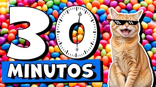 30 MINUTOS de DATOS CURIOSOS y COSAS QUE NO SABÃAS â°ðŸ˜² 09 Pancho Curioso [upl. by Zelig]