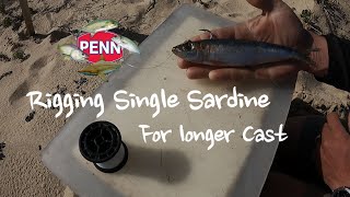 Rigging Sardine for Long cast [upl. by Ozzie]