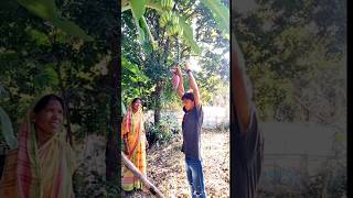 केले के फुल कि सब्जी  Village Life Vlog  Village Cooking [upl. by Ulah899]