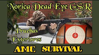 Norica Dead Eye GSR 45 mm Pruebas Exteriores [upl. by Amek]