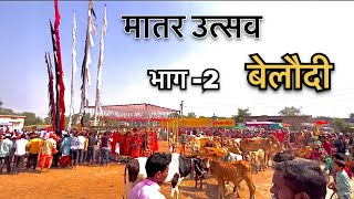 मातर उत्सव बेलौदी  भाग 2  TOMAN SAHU CG [upl. by Akined561]