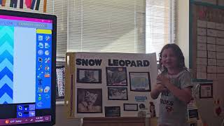 Taylor Snow Leopard Presentation [upl. by Anahsohs]