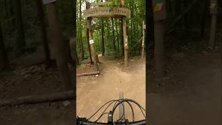 Flowtrails Mosbach  g‘hupft wie g‘sprunge  flowiger gehts nicht 😁🤙 mtb trailriding shorts [upl. by Elyn]