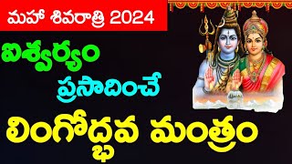 MahaShivRatri 2024  Lingodbhava Mantram  Lingodbhava Kalam 1156 PM onwards  Shiva  కీటాః పతంగాః [upl. by Blanc642]