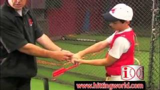 The Insider Bat  Baseball Swing Training Bat [upl. by Whiney39]