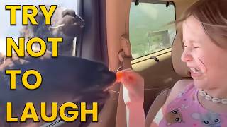 Funniest Animals of the Year Try Not To Laugh Challenge 🙈😹 [upl. by Nigel]