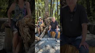 Malahat Skywalk malahatskywalk vancouverisland salishsea forest ocean tower slide [upl. by Ecitnirp]