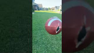 Random punt vid punters football [upl. by Ayikan567]