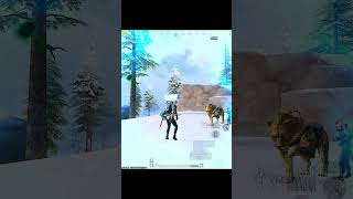 victor iq😂 pubgmvip pubgmobile [upl. by Aihsikal435]