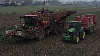 🔥 KOPANIE BURAKÓW CUKROWYCH 🔥 ODWÓZ NA 3 ZESTAWY 🔥 HOLMER TERRA DOS T440 🔥 [upl. by Buchanan]