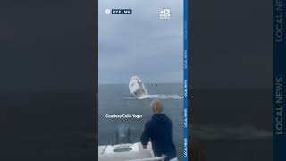 Whale capsizes boat off coast of New Hampshire [upl. by Erdnoid]