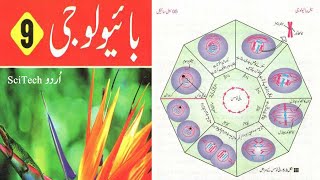 Mitosis Cell Division  Mitosis Phases in Urdu  Mitosis Class 9 Chapter 5 Biology Urdu [upl. by Milka]