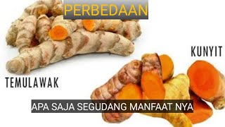 perbedaan kunyit dan temulawakcara bikin nya manfaat kunyit dan temulawak [upl. by Ewell998]