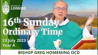 Catholic Mass Today 16th Sunday in Ordinary Time 23 July 2023 Bishop Greg Homeming Lismore Australia [upl. by Diarmid442]