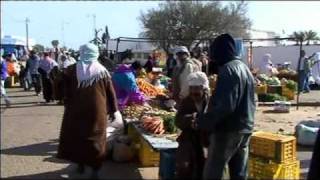 Tunisie Djerba le marché aux legumes de Midoun [upl. by Sergio216]