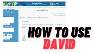 David for GO Enrichment Analysis  SALMAN AKBAR [upl. by Eiduam]