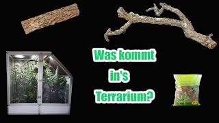 WIE statte ich mein TERRARIUM aus  Chamäleon Basics [upl. by Nnylyma]