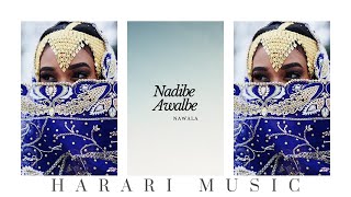 Nawala  Tab Bati Aruzle│Ethiopian Harari Music Audio [upl. by Laenaj]