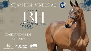 LEILÃO BH FEST FOALS  0 a 18 MESES  MILAN HORSES  Horsepix [upl. by Allegra261]