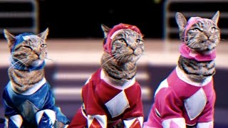 Mighty Morphin Meower Rangers  Meowphin Time  Episode 1 [upl. by Branham557]