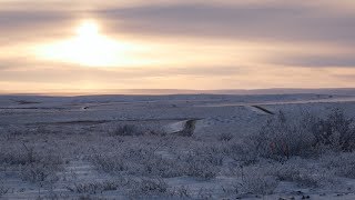 The road to Tuktoyaktuk [upl. by Clarabelle]