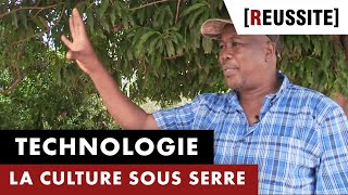 LA CULTURE SOUS SERRE AU MALI  RÉUSSITE [upl. by Arnoldo405]