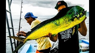 Fishing in Costa Rica  Roosterfish amp Mahi Mahi  English Subtitles [upl. by Adnaerb670]