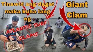 Tinawid ng mga taiwanese ang dagat kahit high tide makakuha lang ng Atlantic surf sea Clams o tulya [upl. by Skurnik]