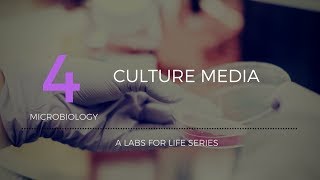 Culture Media [upl. by Colwell]