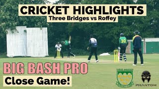 PLAYING vs BIG BASH PRO CRICKETER  CRICKET MATCH HIGHLIGHTS Three Bridges Cricket vs Roffey [upl. by Doro]