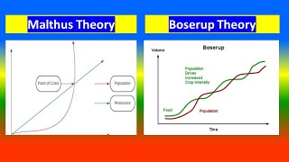 Malthus Theory and Boserup Theory [upl. by Nohs332]