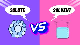 Solute vs Solvent The ULTIMATE Guide to Understanding the Difference  MsChemic [upl. by Alcinia]