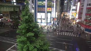 オノデンch【秋葉原ライブカメラ Akihabara live camera】 [upl. by Jamison384]