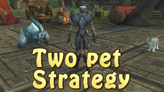 Shademaster Kiryn Celestial Tournament Two Pet Strategy Guide [upl. by Llenej605]