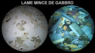 Gabbro Immersion 360° LPnA vs LPA x 40 [upl. by Gladi40]