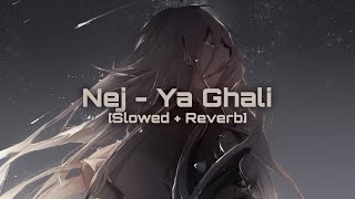 Nej  Ya Ghali 𝐒𝐥𝐨𝐰𝐞𝐝  𝐑𝐞𝐯𝐞𝐫𝐛 [upl. by Grae12]