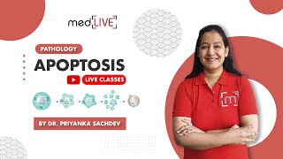 Apoptosis From Cell Suicide to Diagnosis Unlocking the Secrets of Apoptosis by Dr Priyanka Sachdev [upl. by Frere]