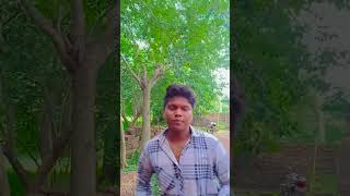 haladi basanta chadheie loold odia album songnewshort fedshort viral video [upl. by Ahsilla]