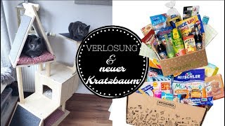 DIY Kratzbaum amp Verlosung [upl. by Skelly433]