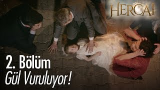 Gül vuruluyor  Hercai 2 Bölüm [upl. by Erdne]