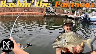 BREAM Fishing in my FIRST Kayak Competition Forster NSW [upl. by Navarro]