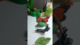 Magic Transformation of Toy Butterfly  ASMR Surprise Fun 🦋 butterfly toys asmrsound [upl. by Hakilam]