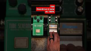 Tube screamer TS808 vs TS9 What’s your favorite ibanez guitarists guitarpedals distortion [upl. by Las]