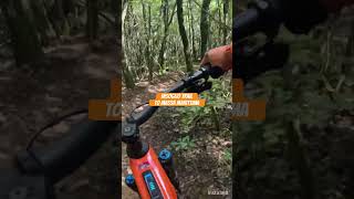 Insoglio trail to Monte Arsenti ebike mtb enduro dh insogliotrail massamarittima [upl. by Brigida]