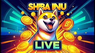 Shiba Inu Live [upl. by Clover725]