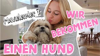 WIR BEKOMMEN EINEN HUND 🐶  MaVie Noelle [upl. by Annaigroeg]