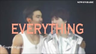 Everything  Siwon and Kyuhyun WonKyu [upl. by Icken782]