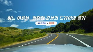 차에서 들으면 더 좋은 드라이빙 플리 ‘차란차X때껄룩 CAR플레이리스트’ [upl. by Assilen]